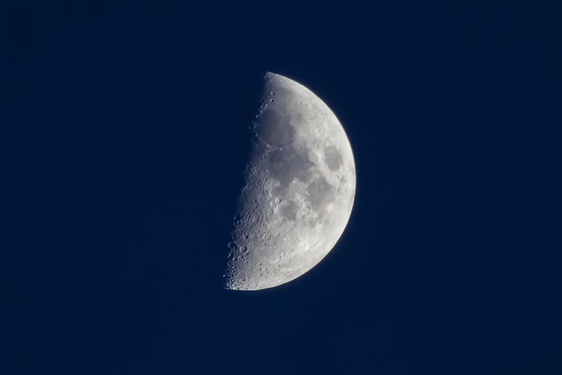 Lunar Delights
